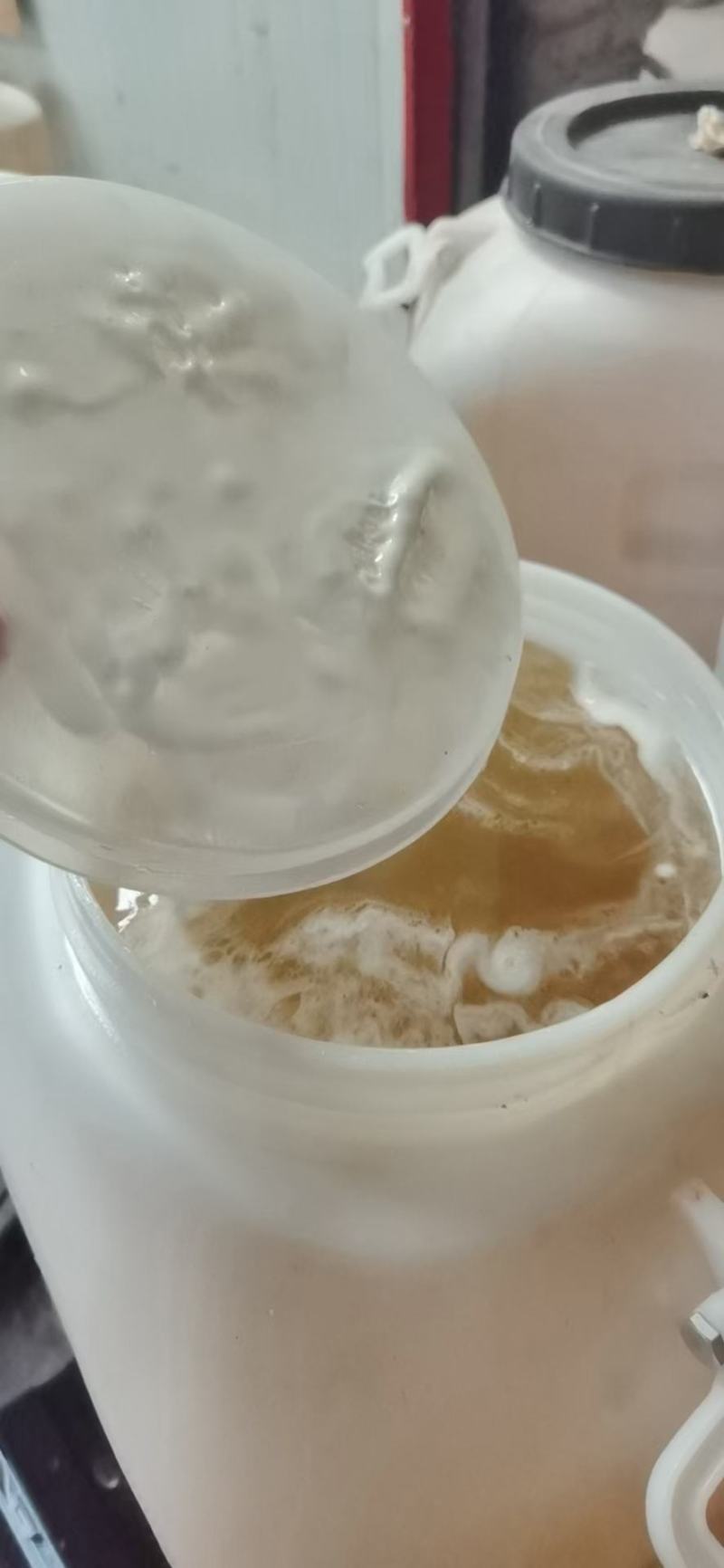 批发零售洋槐蜜、天然蜂蜜槐花蜜