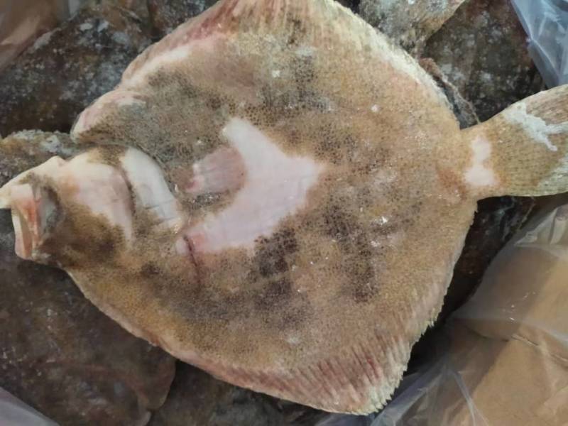 单冻多宝鱼，全规格，需要了抓紧，质量稳定，一手货源