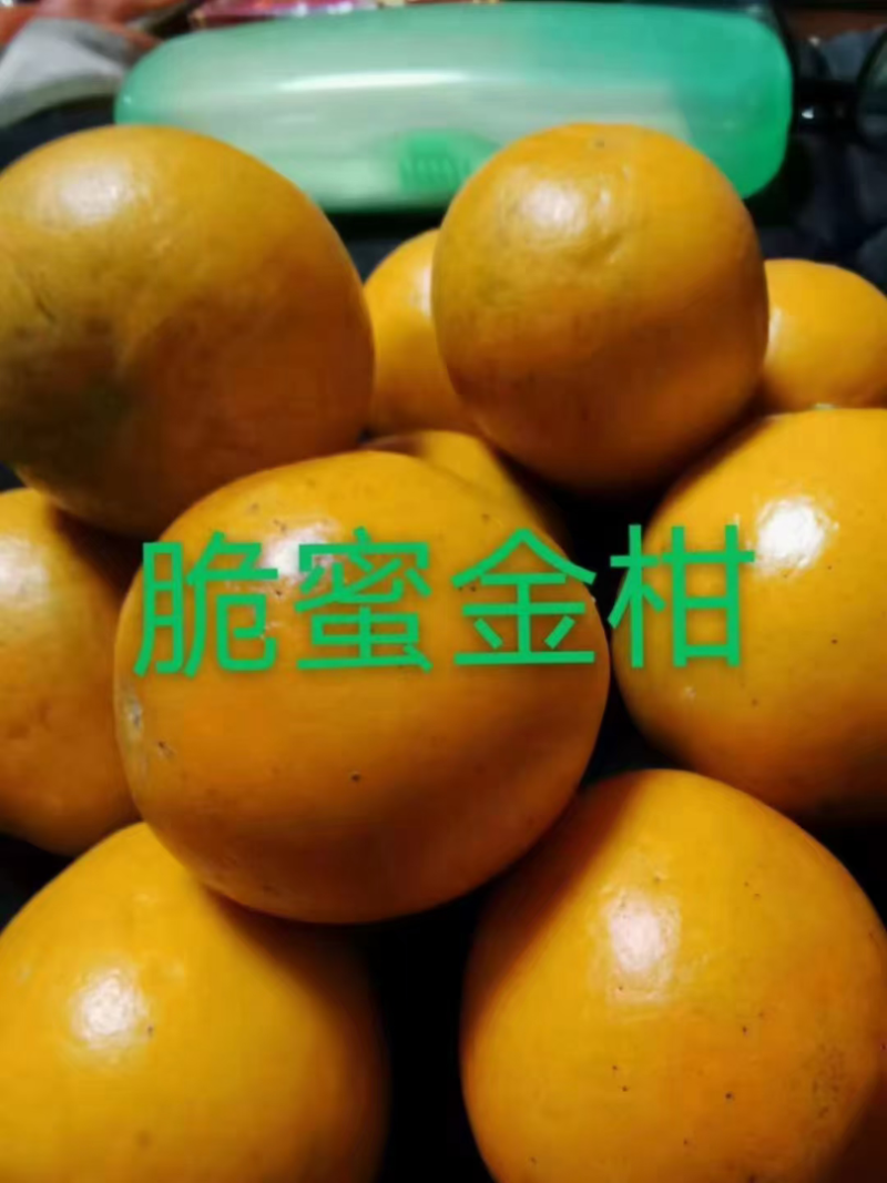 脆蜜金桔