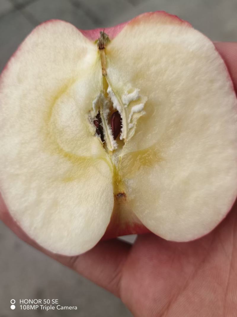 有冰雹点水晶富士大量上市皮薄肉多糖分足量非常大