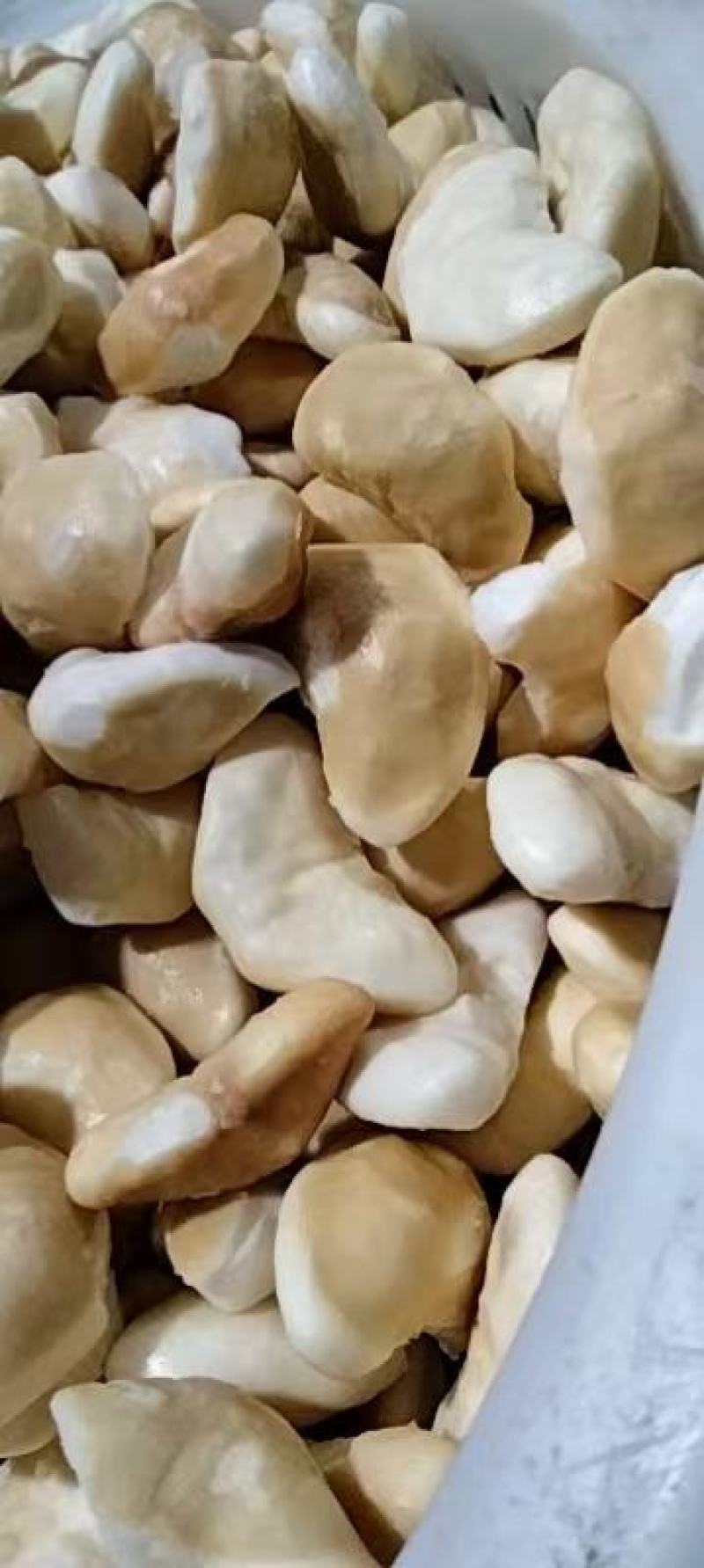 新鲜菱角米