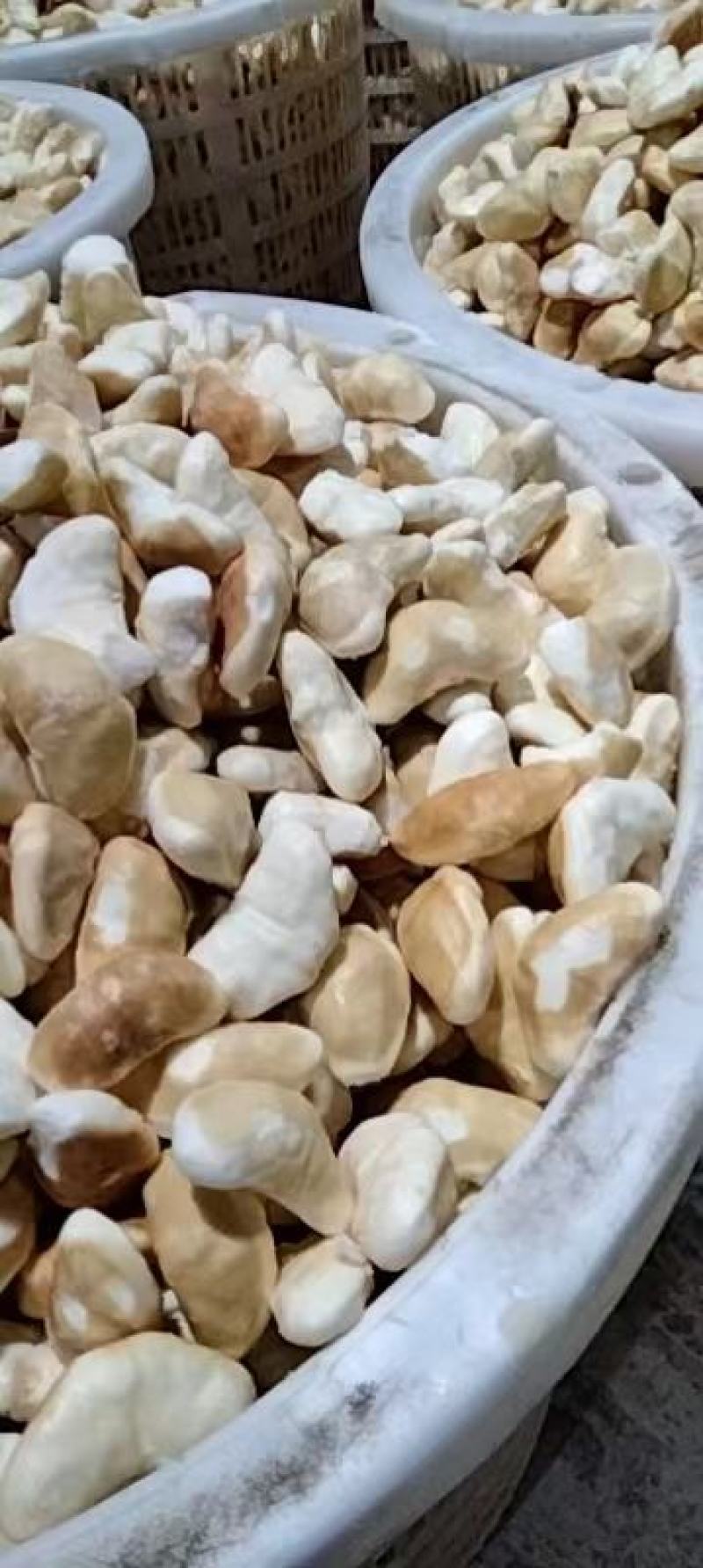 新鲜菱角米