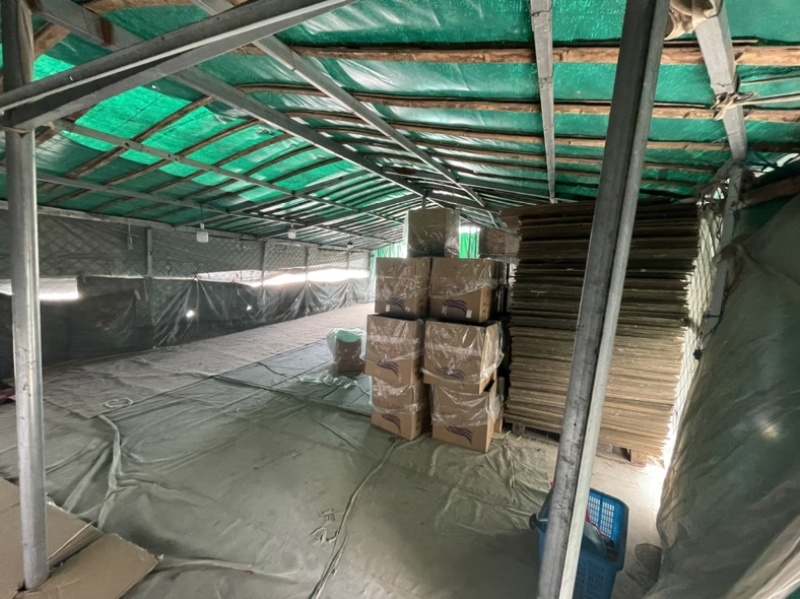 茄子、红茄、线茄大量上市！量大优先！稳定货源，欢迎采购