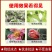 植物防冻剂钜火作物抗寒防冻营养液低温促长冻后恢复