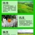 植物防冻剂钜火作物抗寒防冻营养液低温促长冻后恢复