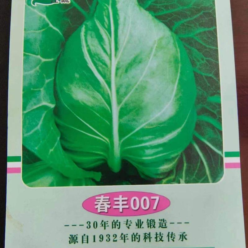 春丰007早熟春甘蓝一代杂交。耐寒性好，冬性强，产量稳定