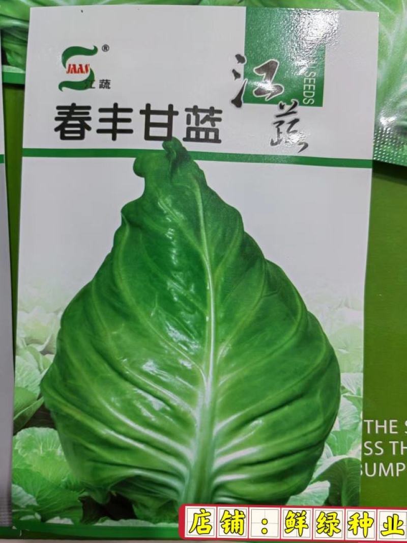 春丰007早熟春甘蓝一代杂交。耐寒性好，冬性强，产量稳定