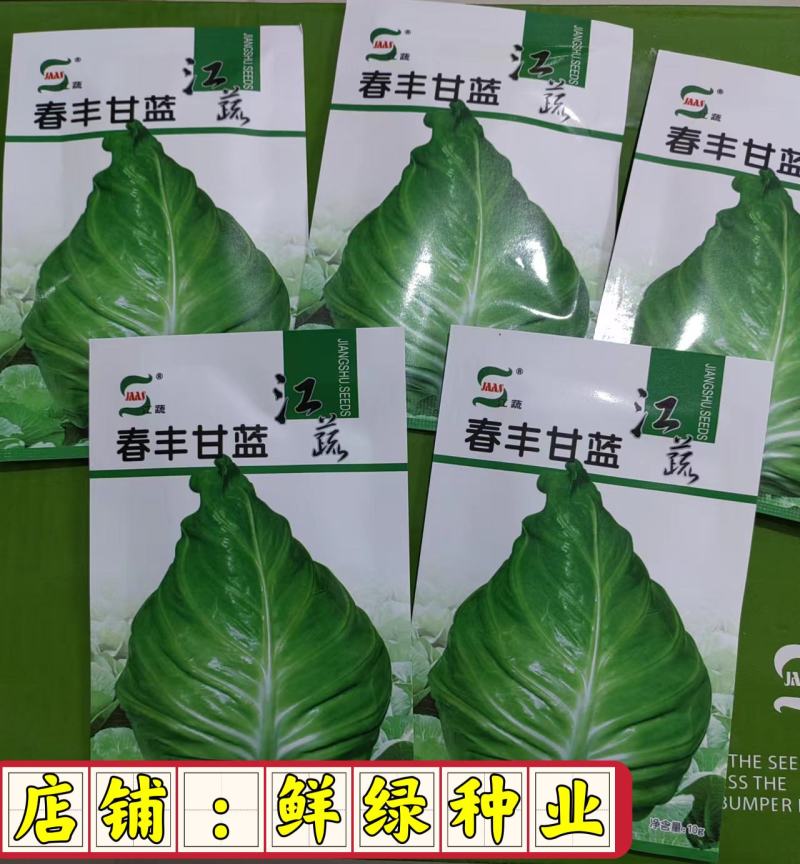 春丰007早熟春甘蓝一代杂交。耐寒性好，冬性强，产量稳定