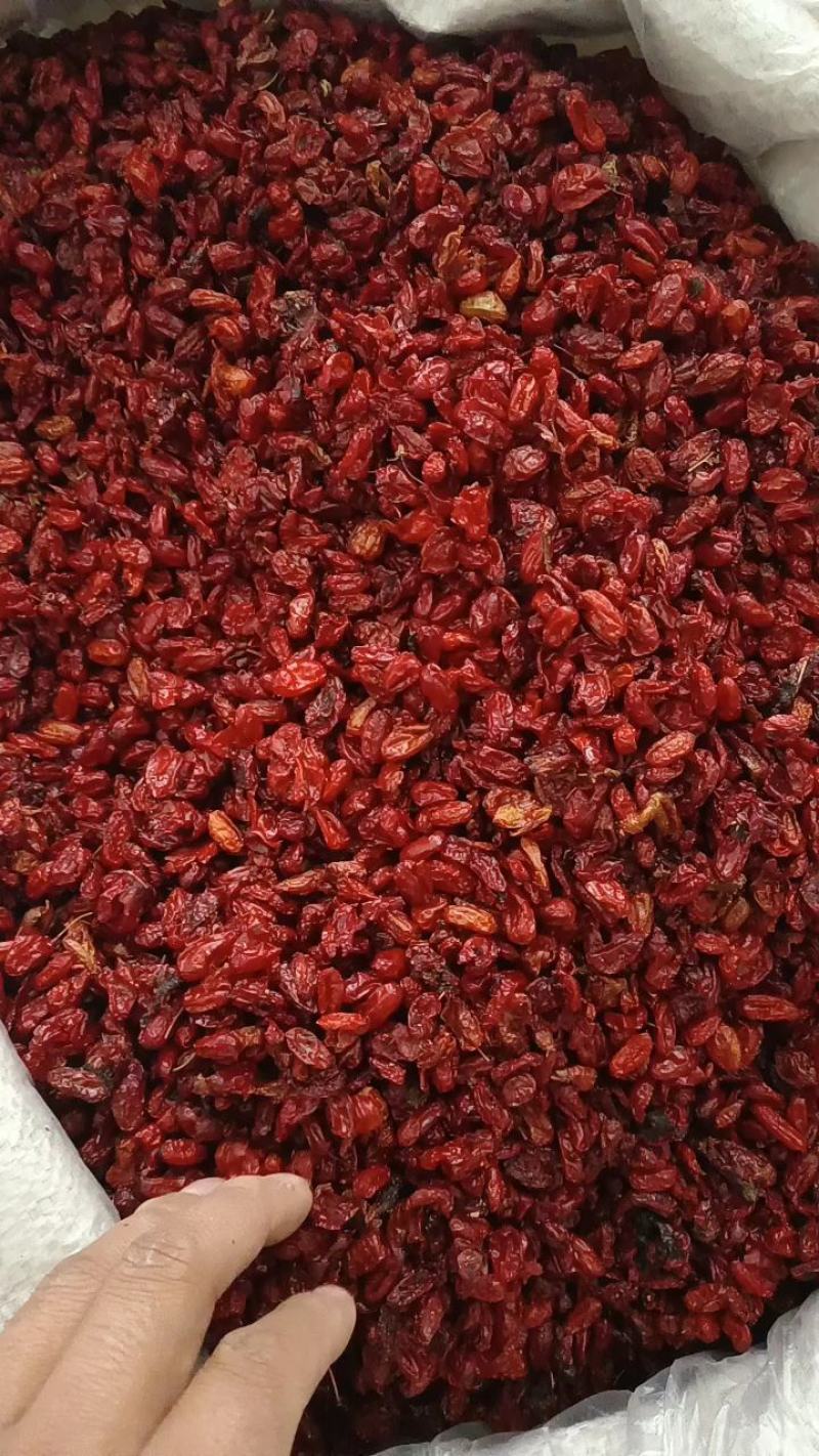 山萸肉山茱萸产地河南筒子皮质量好价格低买货认准永盛
