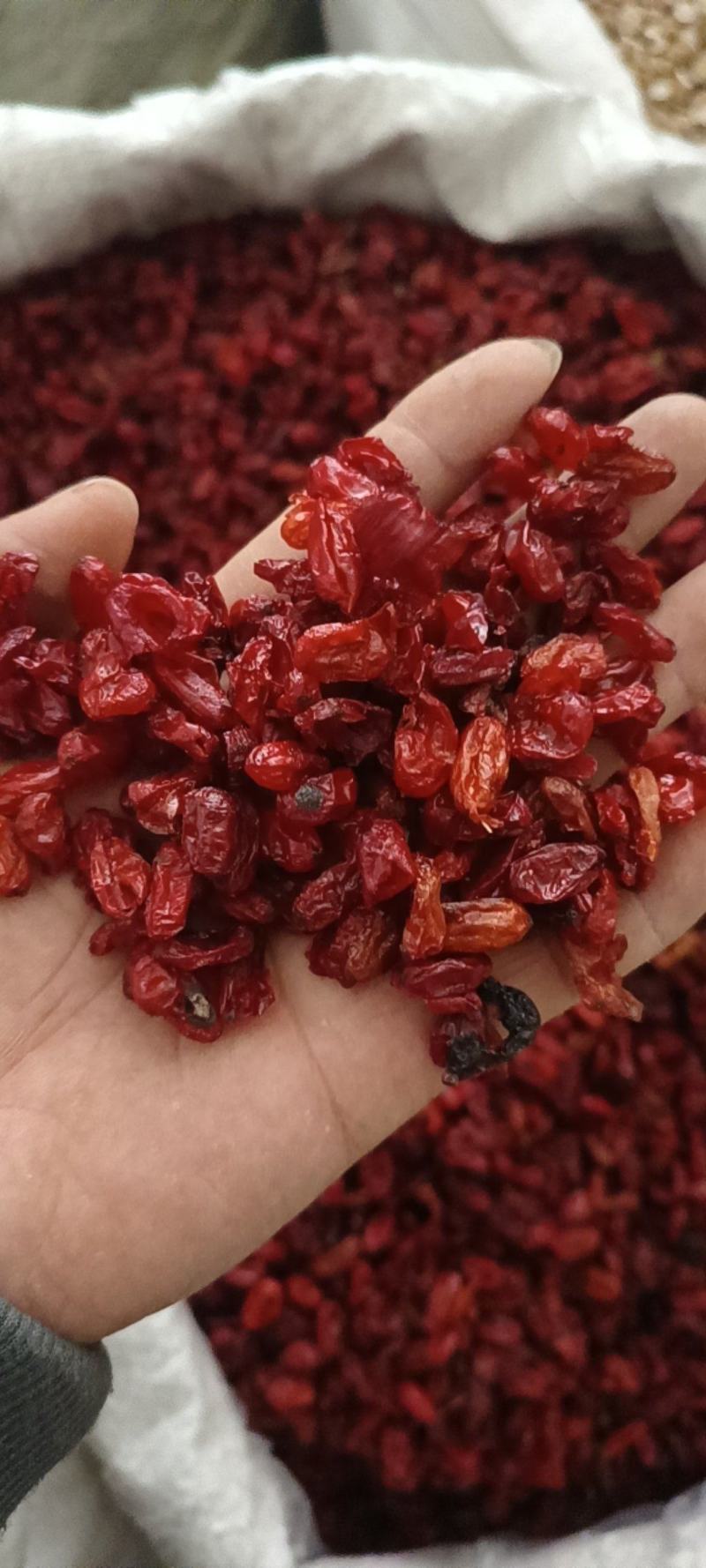 山萸肉山茱萸产地河南筒子皮质量好价格低买货认准永盛