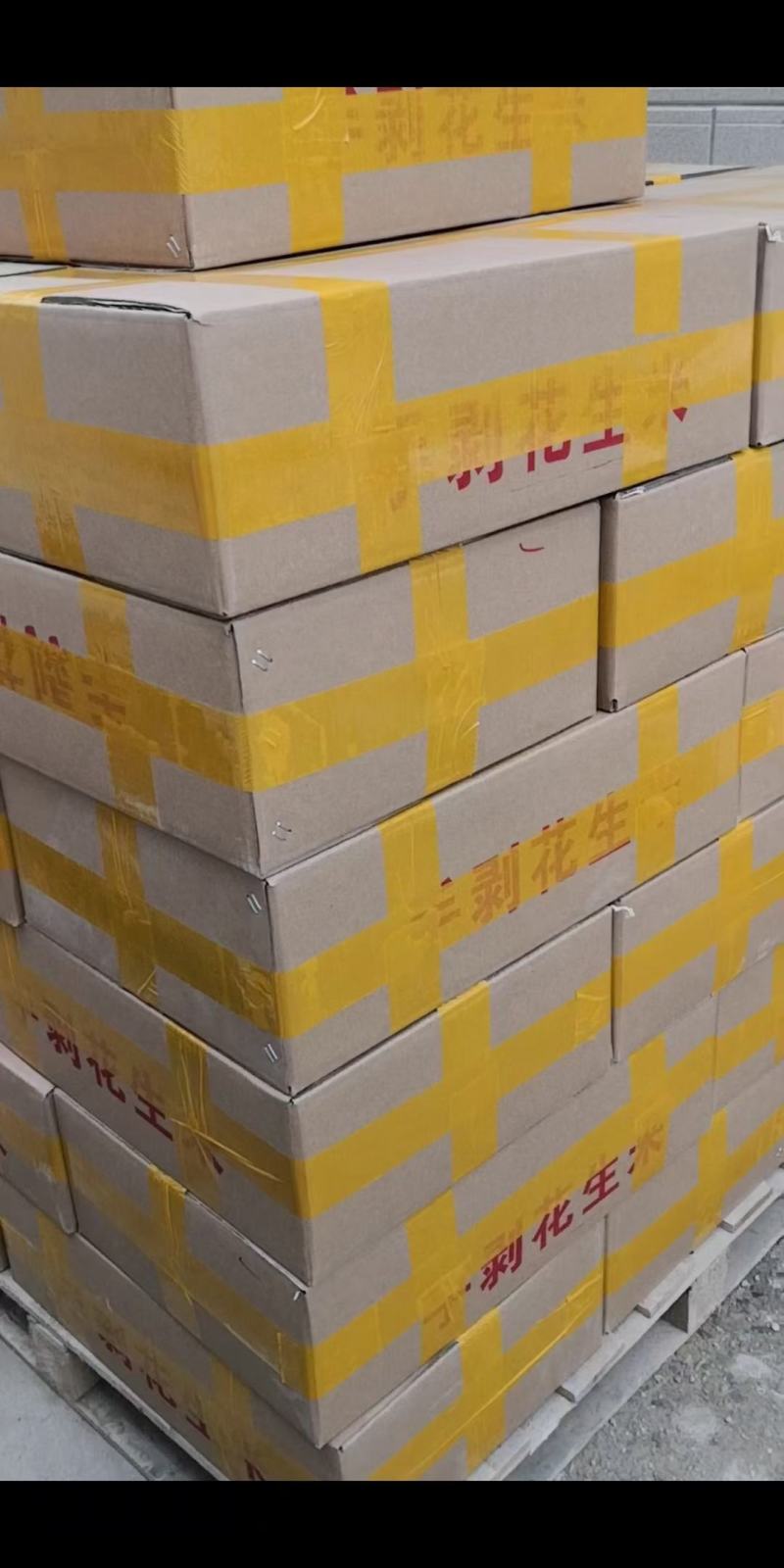 2025新货9616花生芽专用种子手剥花生米产地批发