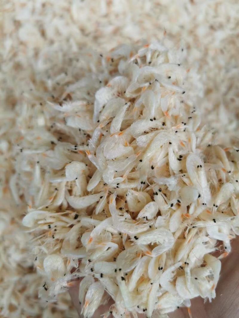 十斤淡干小虾米虾仁虾皮自然晒干海产干货促销批发