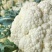 【热销】精品菜花、紧花，松花菜，一手货源，只做精品！