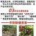 流体硼水溶肥叶面肥果树蔬菜花卉药材大田农用硼肥
