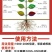 流体硼水溶肥叶面肥果树蔬菜花卉药材大田农用硼肥