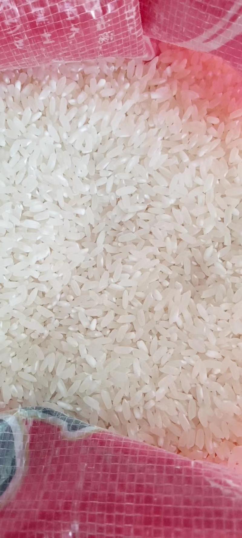 稻花香正宗的五常大米口感好米质有保障