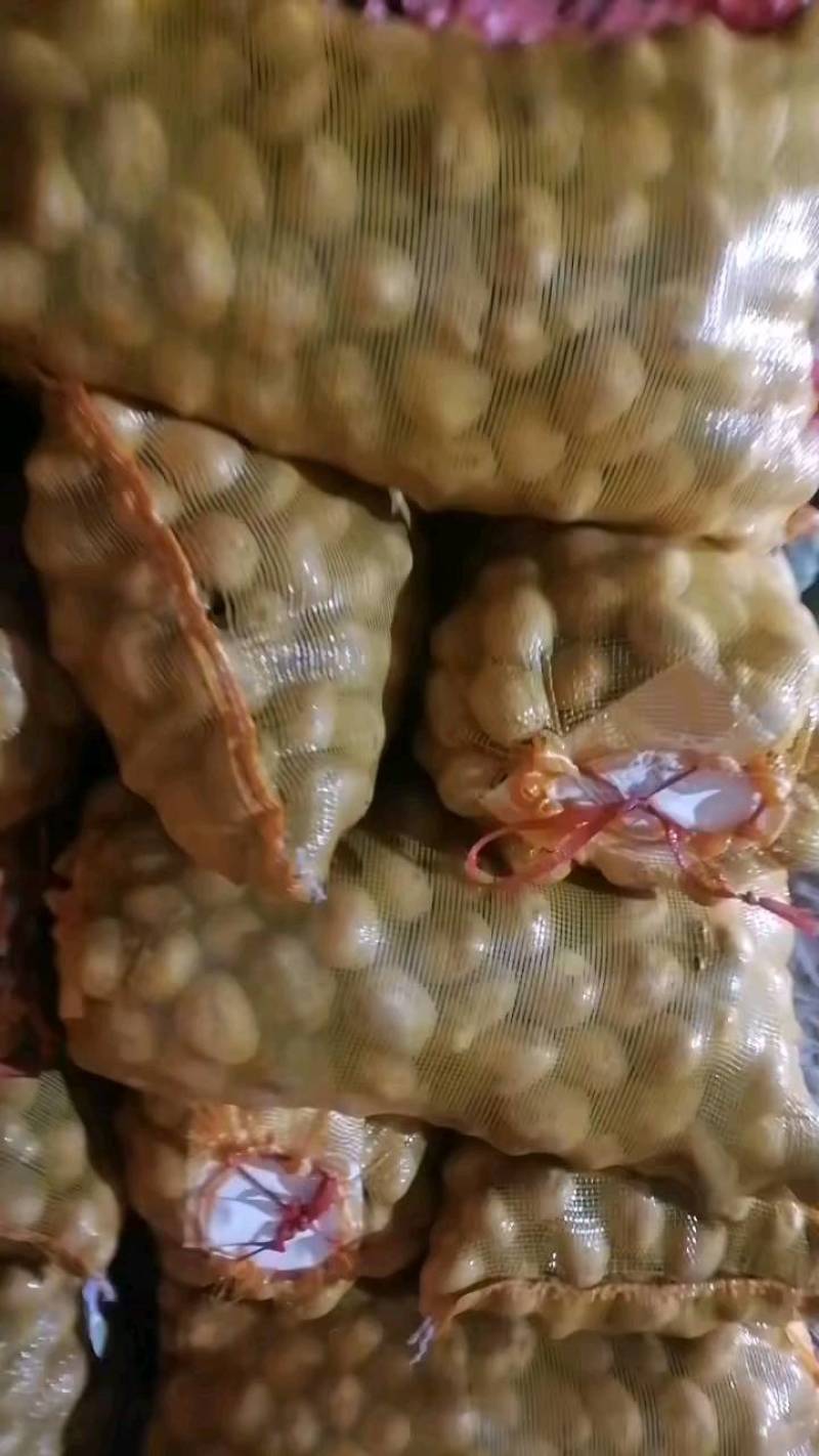 土豆种子，农业大学培育，基地内蒙，发货从北京发