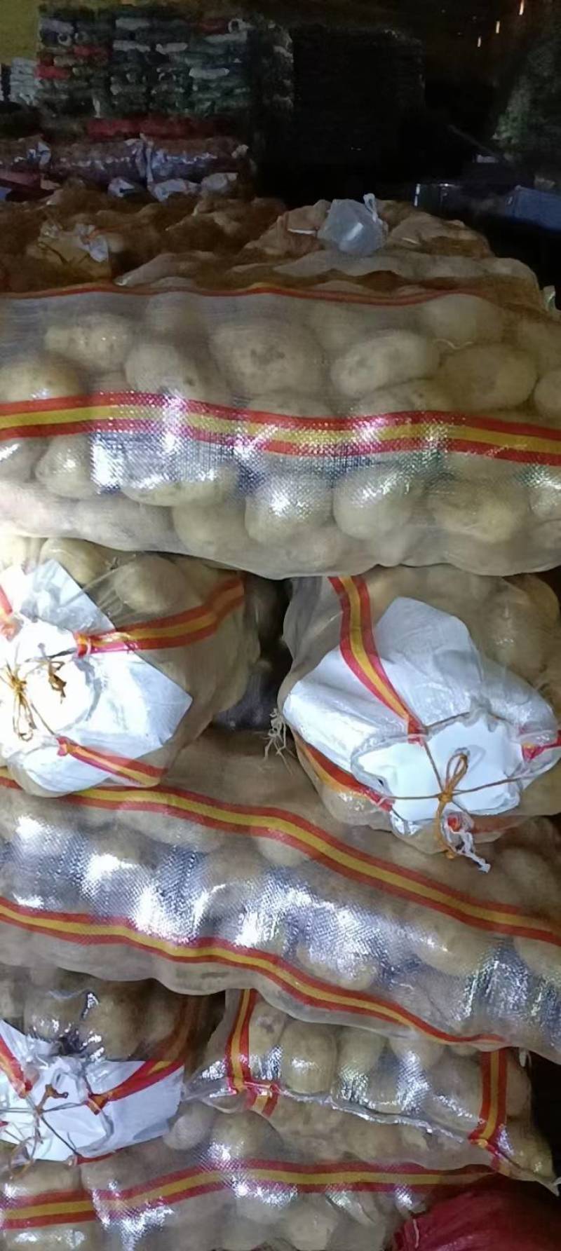 土豆种子，农业大学培育，基地内蒙，发货从北京发