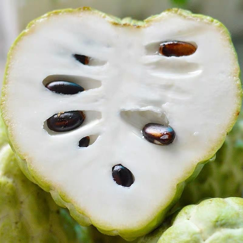 新鲜牛奶释迦果，果园发货现摘现发可视频看货提供电商