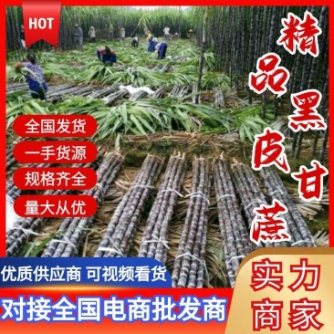 【精选】黑皮甘蔗产地直供一手货源价格公道品质保证