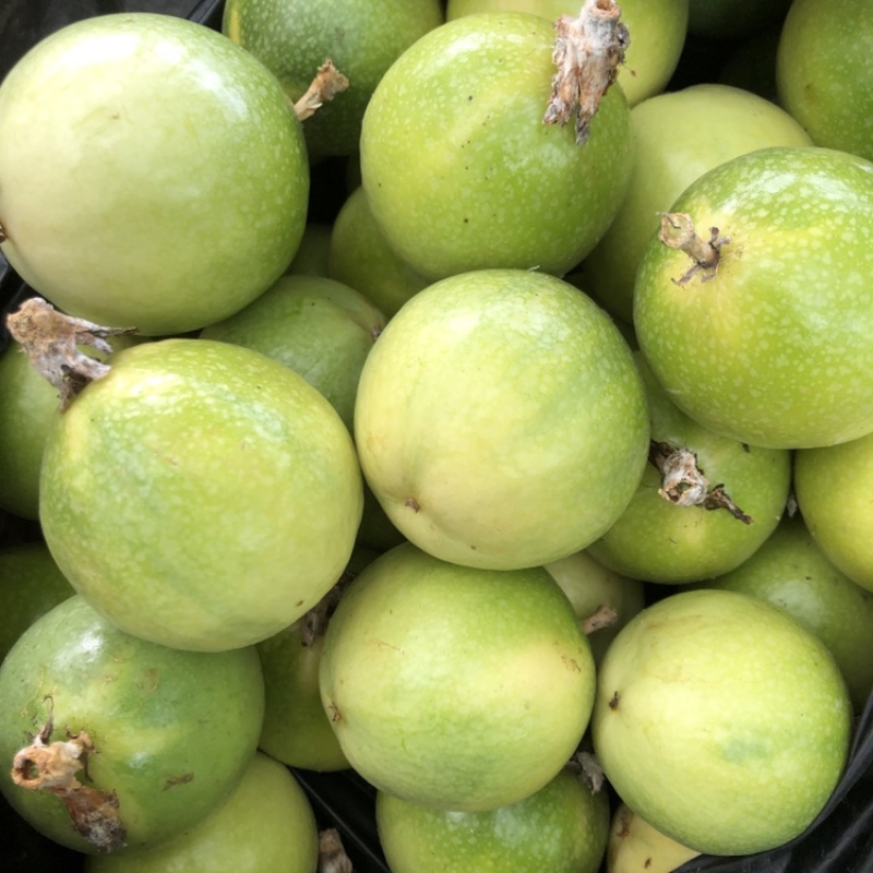 钦蜜9号黄金百香果果园现摘