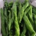螺丝椒大量上市物美价廉