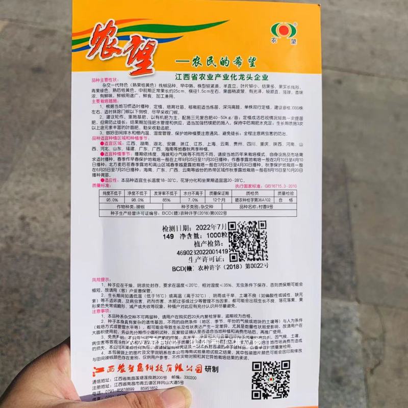 基地专用黄线椒种子特辣熟果桔红色线椒品种杂交一代特色种