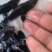 供应水产优质鲟鱼，全国发货。