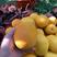 福建漳州平和木瓜蜜丁产地代办对接各大市场商超纯甜