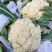 :【产地直供】有机花菜，青梗白面小米粒，对接加工厂