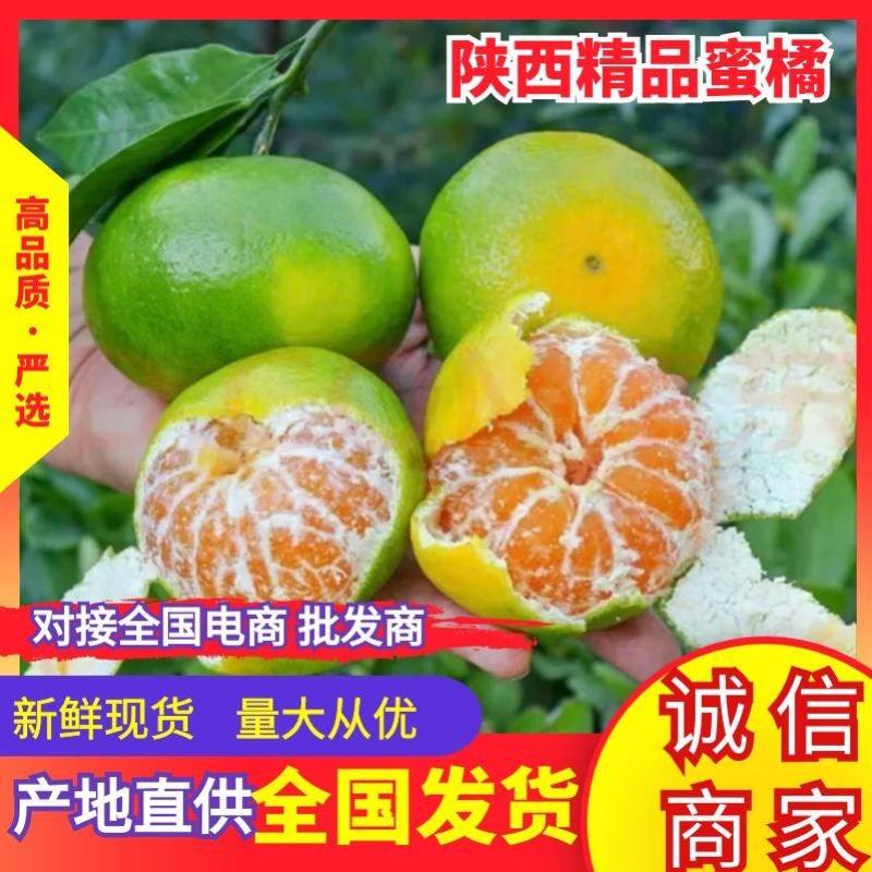 蜜橘汉中蜜橘货源充足味甜口感都说好欢迎下单