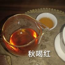 祁门红茶原产地核心产区红香螺群芳最戴着皇冠的女王