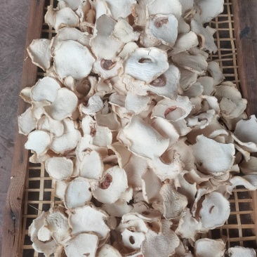 魔芋干片
