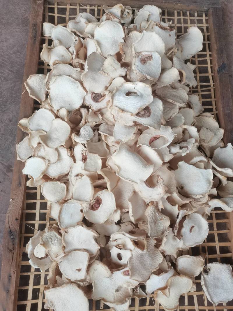 魔芋干片