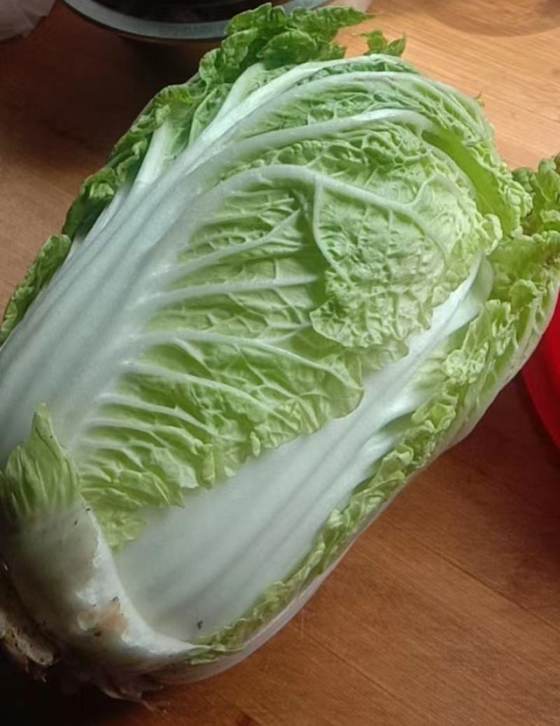 高原夏季蔬菜