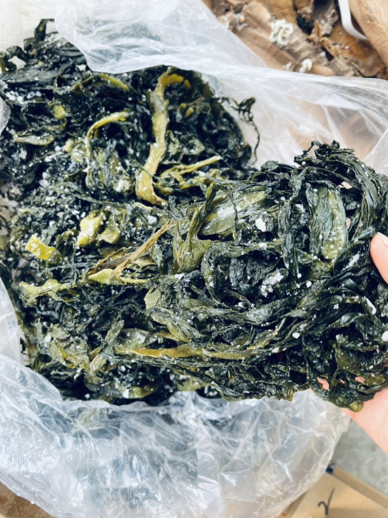 海带裙带海白菜叶价格便宜