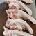 国产：肥猪口条。屠宰场厂家一手货源。质量好
