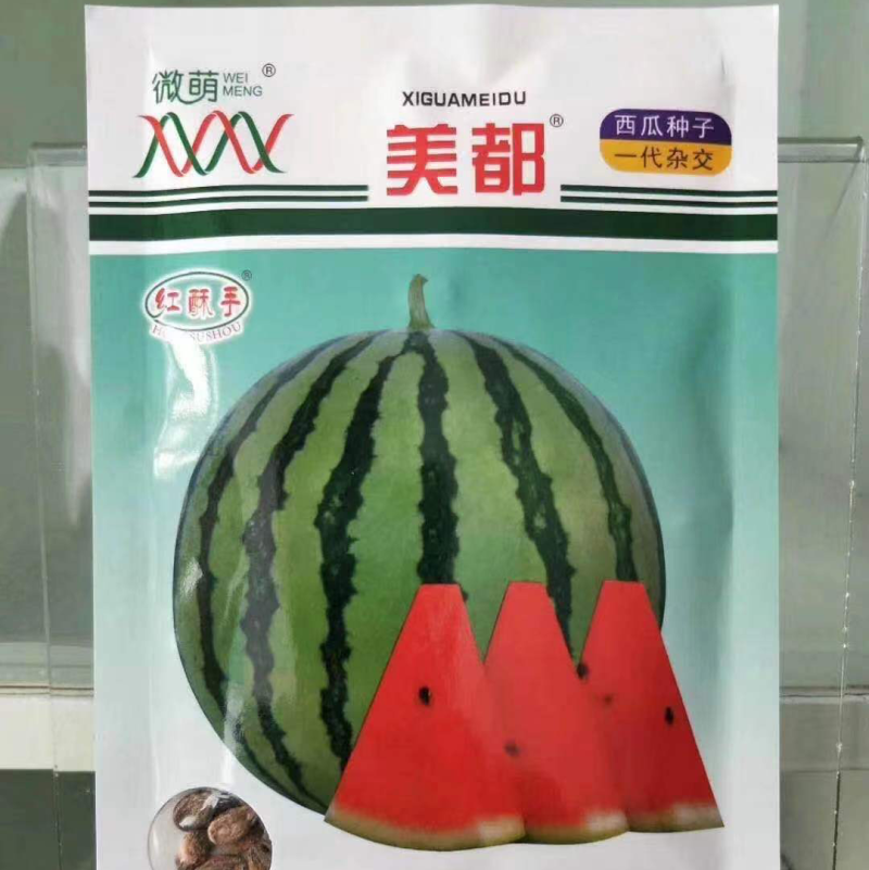 美都嫁接苗，正宗微盟美都