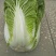 【白菜推荐】杠菜，包心菜我是辽宁凌海市蔬菜代办我们这9初