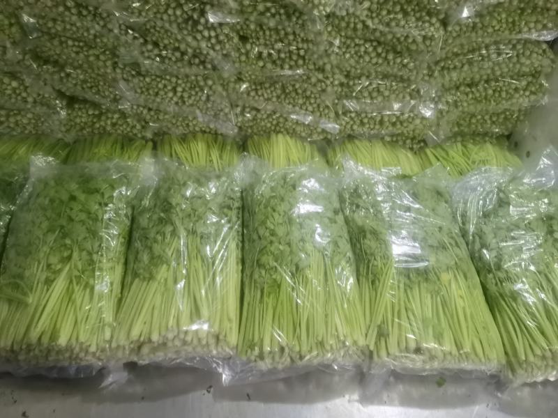 【芹菜推荐】我是辽宁省锦州市蔬菜代办常年出售芹菜。