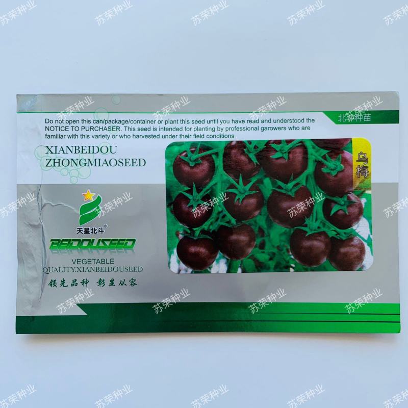 乌梅紫番茄种子