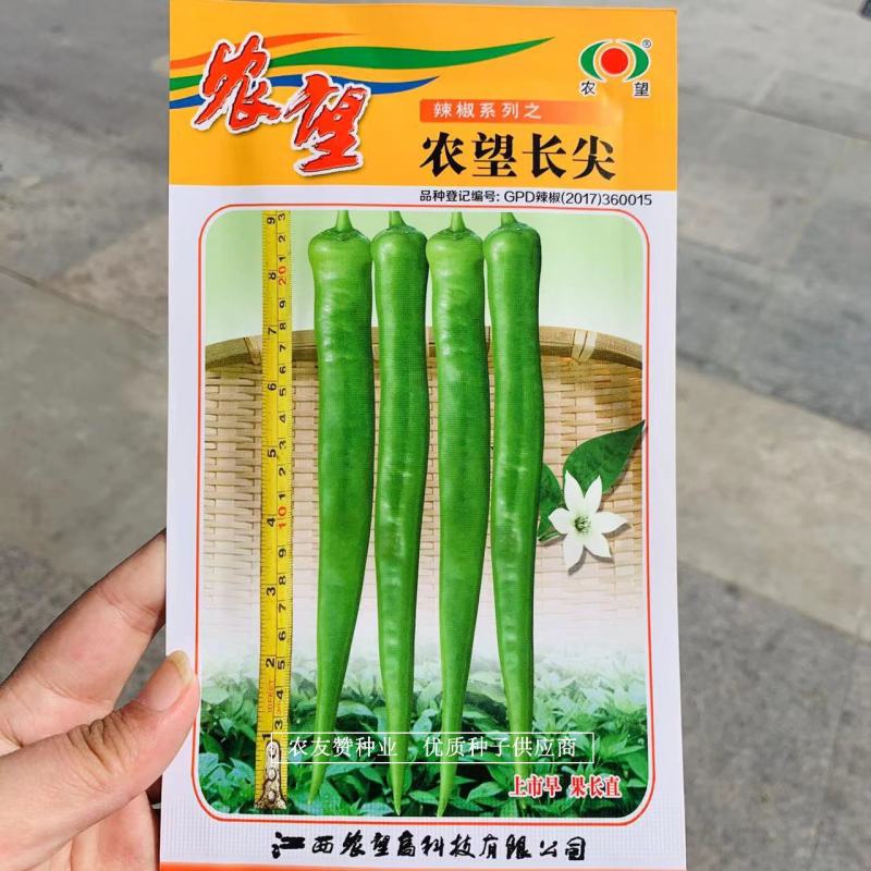 农望长尖辣椒种子杂交一代长羊角椒种子果型顺直鲜食脆，香