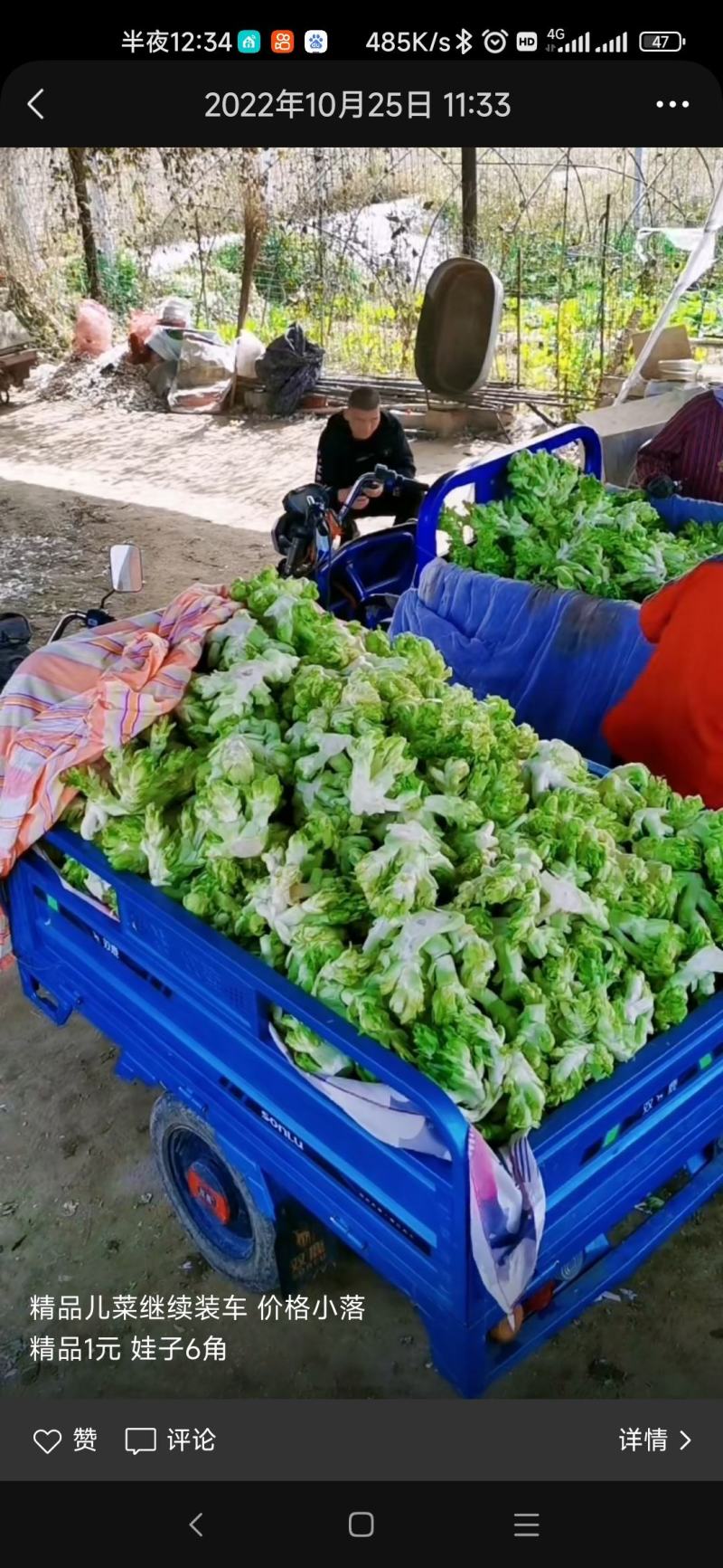 我有两三百亩儿菜要出售