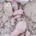 鄱阳县红薯19大量。自产自销，欢迎老板来订购。