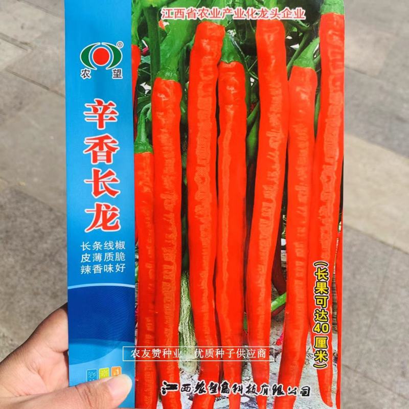 青红两用线椒种子农望辛香系列辣椒种子中辣皮薄，口感佳