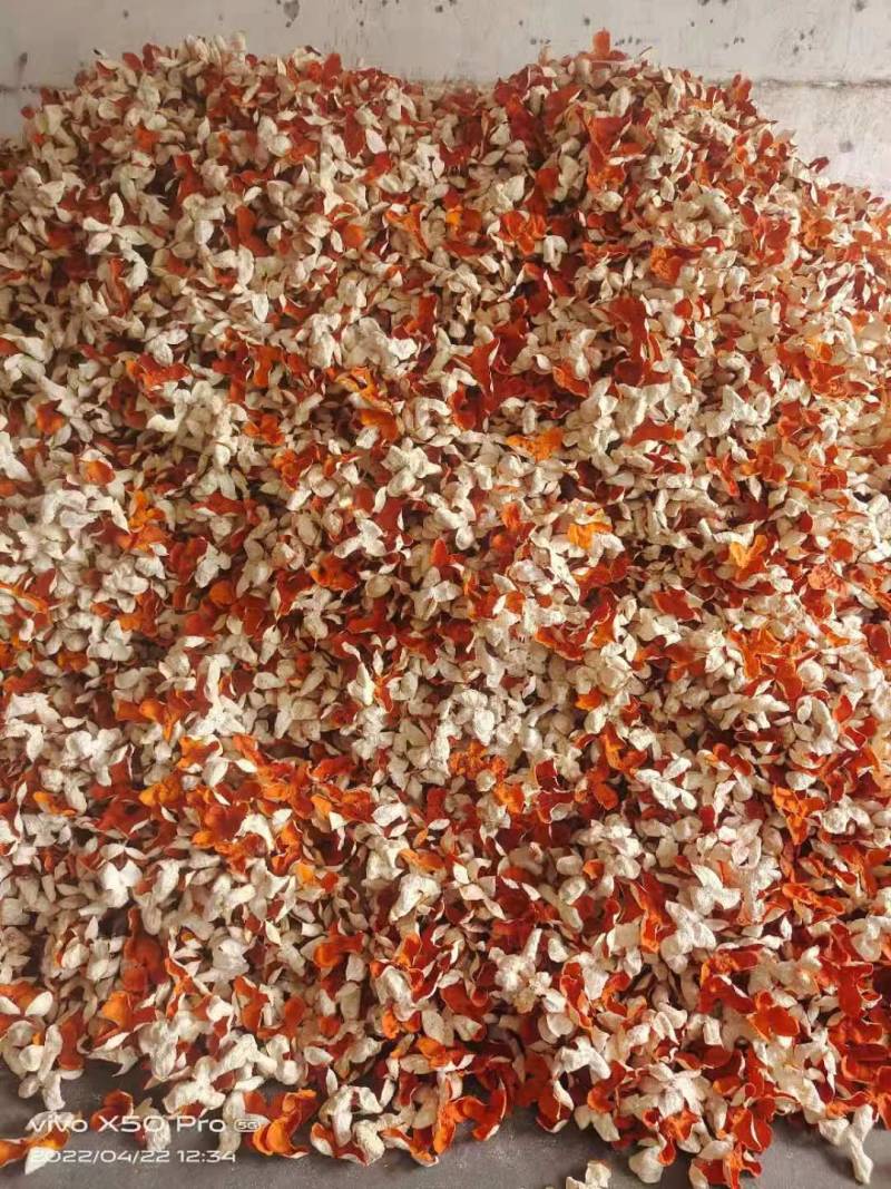 精品三花红皮椪柑皮超级干超级香超级薄大量有货可视频看货
