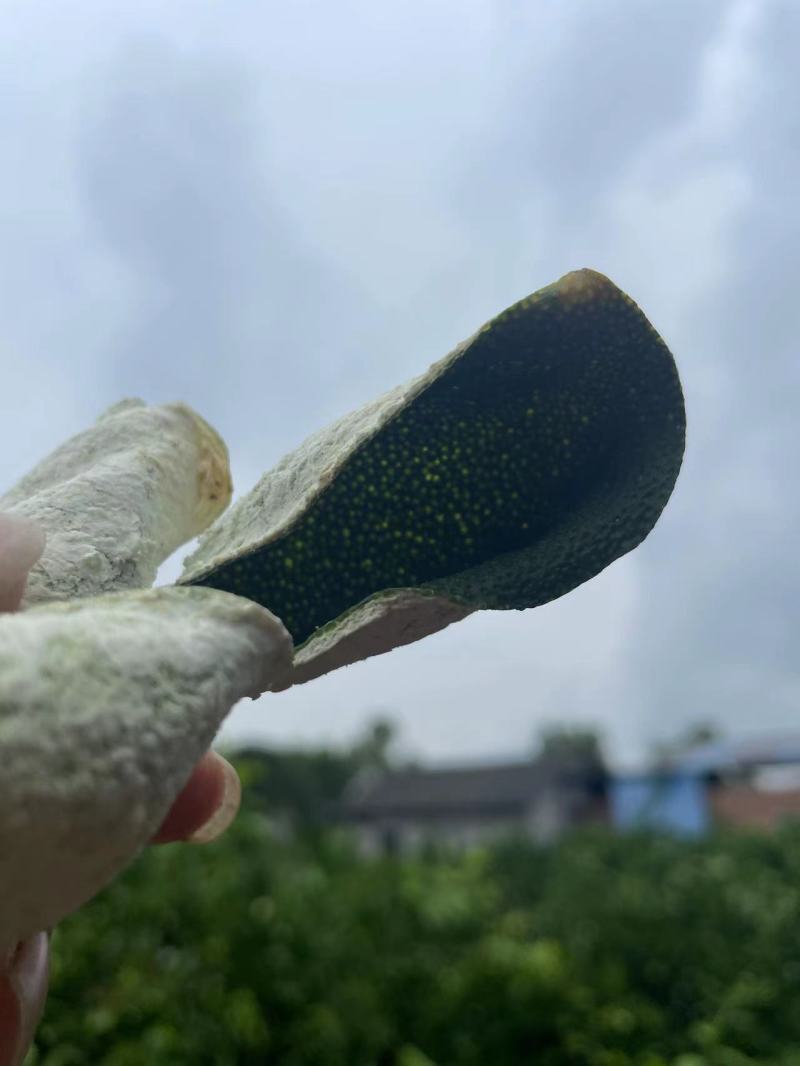 三花精品靑皮陈皮，大量有货质量保证，可视频看货，欢迎来电