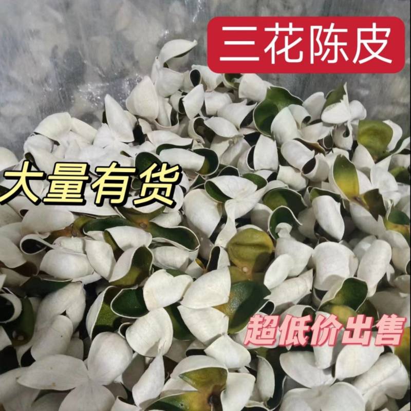 三花精品靑皮陈皮，大量有货质量保证，可视频看货，欢迎来电