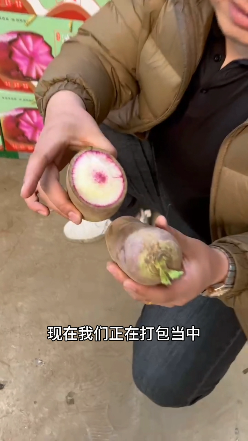 三色冰激凌萝卜冰淇淋萝卜冰糖心萝卜凤梨萝卜水果萝卜