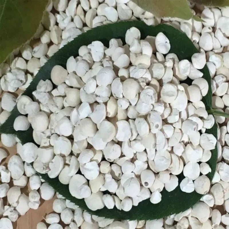 新货芡实干货新鲜自产碎茨实米易煮软糯香甜红皮苏茨实